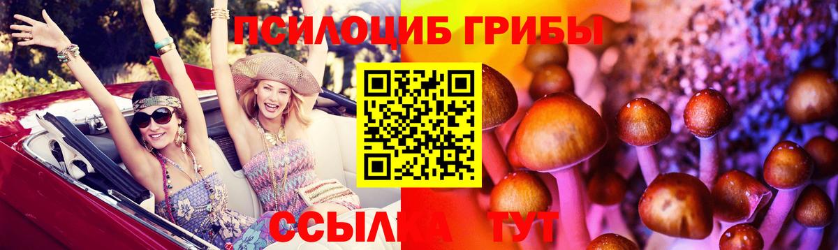 Краснознаменск  Псилоцибиновые грибы прущие грибы  Вход с VPN 